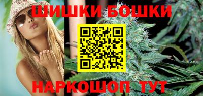 индика Будённовск