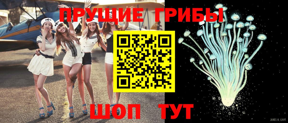 Псилоцибиновые грибы Psilocybe Протвино